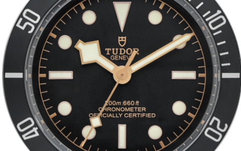 帝舵碧灣買家指南