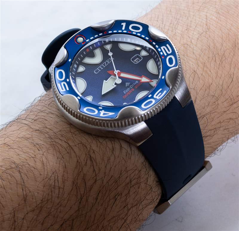 觀看評(píng)論：Citizen Promaster Diver Orca