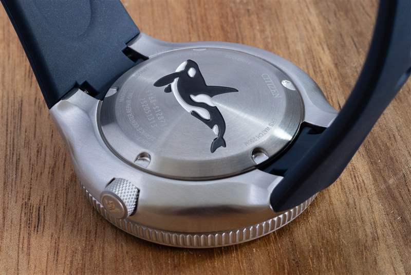 觀看評(píng)論：Citizen Promaster Diver Orca