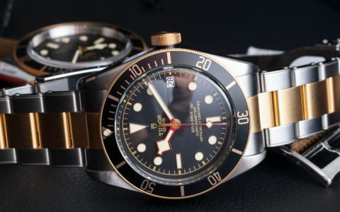 帝舵Black Bay S&G 79733N雙色腕表