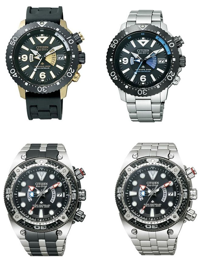 公民專業(yè)大師