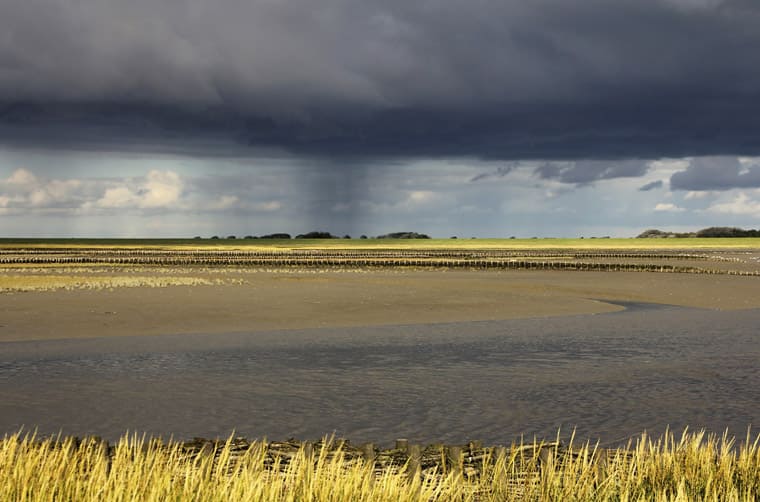 ORIS二度與瓦登海共同秘書處合作發(fā)行Aquis聯(lián)名潛水表面盤和表背設計都有故事