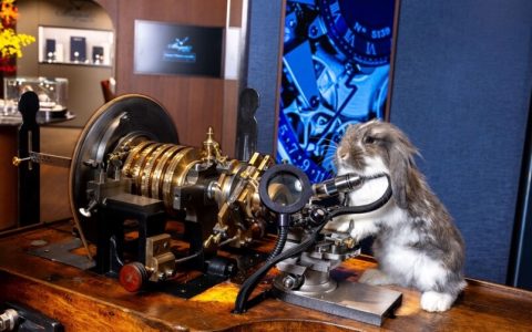 寶璣Breguet友善中環店率先成為寵物友善奢華腕表品牌